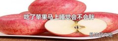 吃了苹果马上睡觉会不会胖