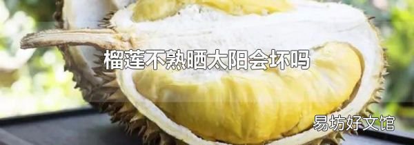 榴蓮不熟曬太陽會壞嗎