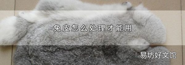 兔皮怎么处理才能用