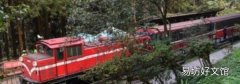 阿里山位于哪个省