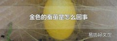金色的蚕茧是怎么回事