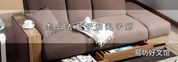 怎么去虱子和虱子卵