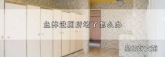 鱼掉进厕所堵了怎么办