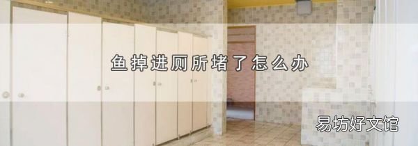 鱼掉进厕所堵了怎么办