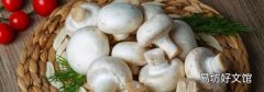 蘑菇可不可以和茄子一起吃?