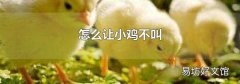 怎么让小鸡不叫