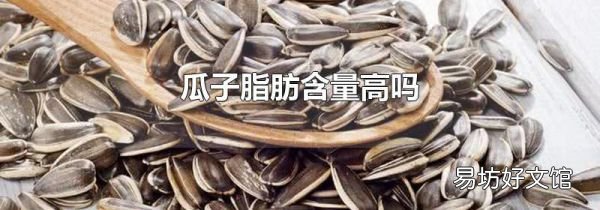 瓜子脂肪含量高吗