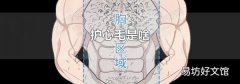 护心毛是啥