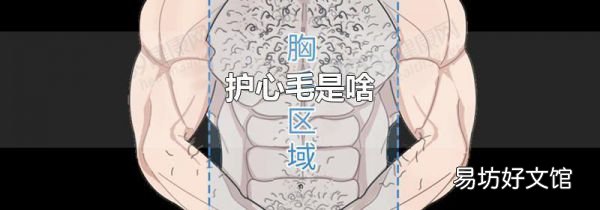 護心毛是啥
