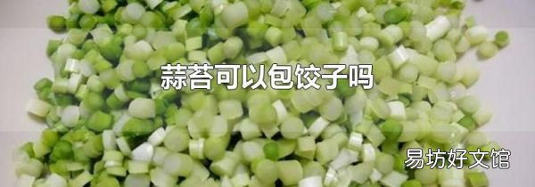 蒜苔可以包餃子嗎