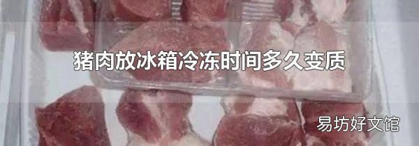 猪肉放冰箱冷冻时间多久变质