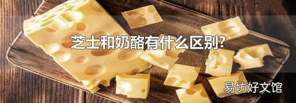 芝士和奶酪有什么区别?