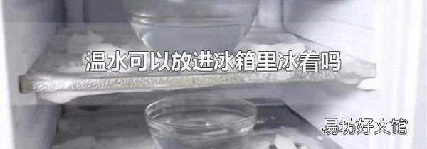温水可以放进冰箱里冰着吗