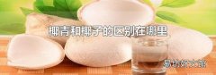 椰青和椰子的区别在哪里