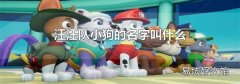 汪汪队小狗的名字叫什么