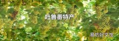 吐鲁番特产