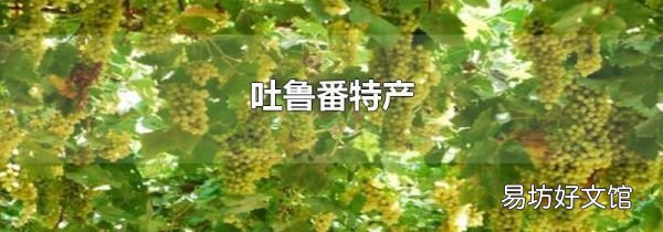 吐鲁番特产