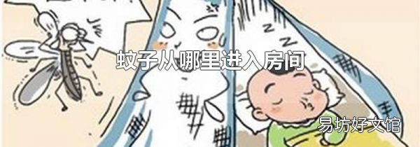 蚊子從哪里進(jìn)入房間