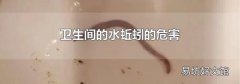 卫生间的水蚯蚓的危害