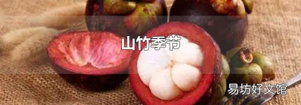 山竹季节
