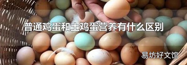 普通鸡蛋和土鸡蛋营养有什么区别