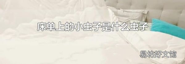 床单上的小虫子是什么虫子