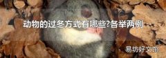 动物的过冬方式有哪些?各举两例