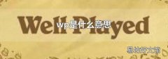 wp是什么意思