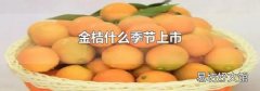 金桔什么季節(jié)上市