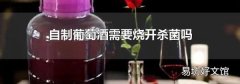 自制葡萄酒需要烧开杀菌吗