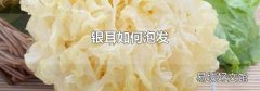 银耳如何泡发