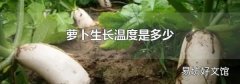 萝卜生长温度是多少