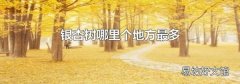 银杏树哪里个地方最多