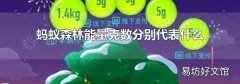 蚂蚁森林能量克数分别代表什么