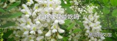 白色槐花能吃吗