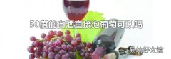 50度的白酒直接泡葡萄可以吗