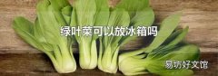 绿叶菜可以放冰箱吗