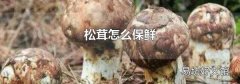 松茸怎么保鲜