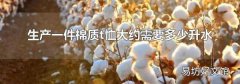 生产一件棉质t恤大约需要多少升水