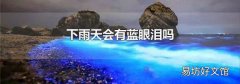 下雨天会有蓝眼泪吗