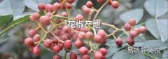 花椒产地