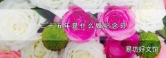 二十五年是什么婚纪念日