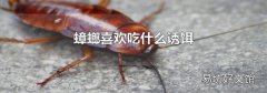 蟑螂喜欢吃什么诱饵