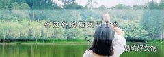 各过各的婚姻叫什么