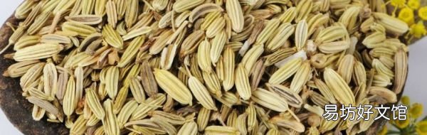 小茴香籽怎么泡水