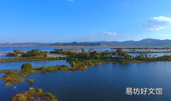 湿地又称为什么