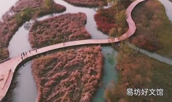 湿地又称为什么