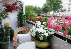 阳台种花效果图 如何在阳台上种花
