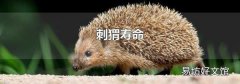 刺猬寿命