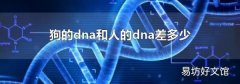 狗的dna和人的dna差多少